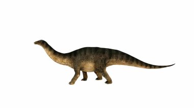 3D, uzun boyun ve kuyruğu olan bir Sauropod dinozorunu tasvir eder. Dinazorların derisi, izole edilmiş arka plana gerçekçilik ve derinlik ekleyen benekli bir desenle desenlenmiştir..