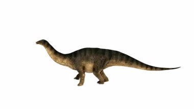 Beyaz arka planda yürüyen Sauropod Dinozoru. Alfa kanalı. 3B Hazırlama.