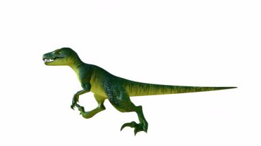 Üç boyutlu Velociraptor, canlı yeşil ve sarı gradyan derili yırtıcı bir duruşla tasvir ediliyor. İzole edilmiş beyaz arka planda keskin dişleri olan bir dinozor. Alfa kanalı.