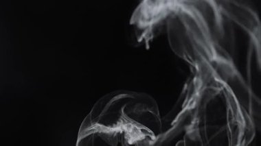 Dönen beyaz dumanın büyüleyici bir görüntüsü koyu siyah bir zemin üzerinde karmaşık desenler yaratarak ince formların zarafetini ve gizemini vurguluyor. Yavaş çekim