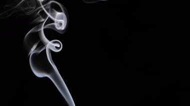 Beyaz buklelerin karmaşık ve yumuşak kıvrımları saf siyah arka plana karşı zarafetle dans ederek büyüleyici bir görsel etki yaratıyor. Yavaş çekim