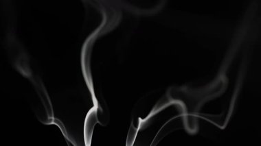 Karanlık bir zemin üzerinde dönen dumanın büyüleyici bir görüntüsü, akışkan hareket ve gizem sergiliyor. Yavaş çekim