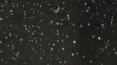 Dumanlı havada rastgele uçuşan küçük toz bulutu, nesne reklamları için boş uzay şablonu. Düşük ışıkta beyaz toz parçacıkları boş siyah karşıtlık arka planında.