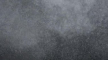 Dumanlı havada rastgele uçan küçük toz bulutu, nesneler için boş uzay şablonu. Birçok toz parçacığı beyaz toz bulutu boş siyah zıtlık arka planında uçuşuyor. Yavaş çekim.
