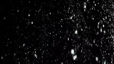Dumanlı havada rastgele uçan küçük toz bulutu, nesneler için boş uzay şablonu. Yukarıdan bir sürü toz beyaz parçacığı düşüyor, boş siyah arka planda yüzüyor. Yavaş çekim.