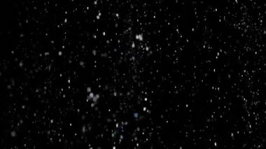 Dumanlı havada rastgele uçan küçük toz bulutu, nesneler için boş uzay şablonu. Yukarıdan bir sürü toz beyaz parçacığı düşüyor, boş siyah arka planda yüzüyor. Yavaş çekim.