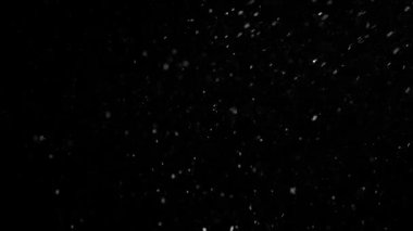 Dumanlı havada rastgele uçan küçük toz bulutu, nesneler için boş uzay şablonu. Yukarıdan düşen gümüş parçacıkları boş siyah zıtlık arka planında yüzüyor. Yavaş çekim.