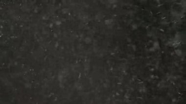 Dumanlı havada rastgele uçan küçük toz bulutu, nesneler için boş uzay şablonu. Birçok toz parçacığı beyaz toz boş siyah kontrast zemin üzerinde ışık içinde süzülen rüzgar tarafından esiyor.