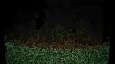 Renkli görsel sesin ilginç bir görüntüsü rastgele ama ahenkli dokusu ile büyüleyen bir desen oluşturuyor..