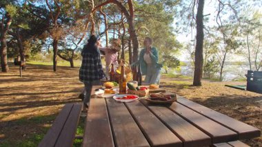 Bir grup arkadaş piknik yapmak için toplanır, açık havada, güneşli ve rahatlatıcı bir ortamda müzik dinleyip dans ederler. Yavaş çekim