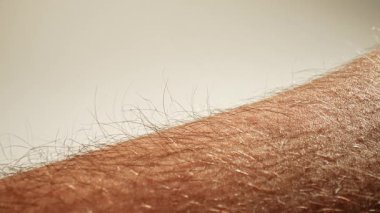 İnsan kol kıllarının detaylı görüntüsü, doğal ışıklandırma koşulları altında doku ve büyüme kalıplarını gösteriyor. Makro