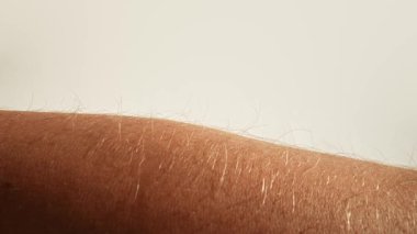 Yumuşak doğal ışıkla aydınlatılmış, insan kolundaki ince tüyleri gösteren bir makro görüntü. Cilt dokusu ve saç detayı açıkça görülüyor. Makro