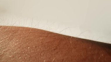 Yumuşak doğal ışıkla aydınlatılmış, insan kolundaki ince tüyleri gösteren bir makro görüntü. Cilt dokusu ve saç detayı açıkça görülüyor. Makro