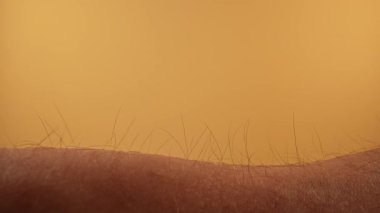 Tarafsız turuncu arka planda insan kol kıllarının detaylı bir makro çekimi, doku ve kontrastı gösteriyor. Makro