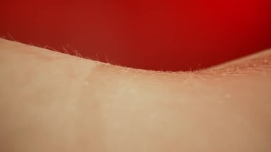 İnsan derisinin dokusunu gösteren, saç foliküllerinin varlığını vurgulayan detaylı bir yakın çekim görüntüsü. Makro