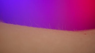 İnsan derisinin dokusunu gösteren, saç foliküllerinin varlığını vurgulayan detaylı bir yakın çekim görüntüsü. Makro