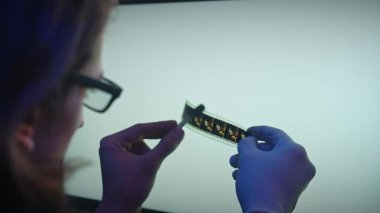 Bir el ışık kutusundaki bir film şeridini dikkatlice inceler ve titiz film analizini gösterir. Yavaş çekim