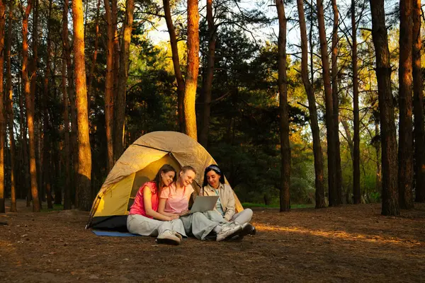 Üç arkadaş ormanda bir çadırın yanında oturmuş, bir dizüstü bilgisayarın üzerinde yürüyüş ve görüntülü sohbetin tadını çıkarıyorlar..