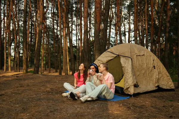 Üç arkadaş kamp alanlarında dinleniyor, manzaralı bir ormanda çadırın yanında sıcak içeceklerin tadını çıkarıyorlar..