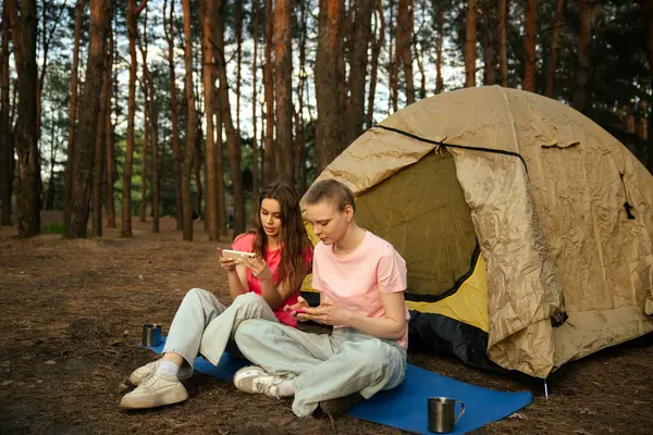 İki arkadaş çadırın yanında oturur, sohbet eder ve akıllı telefonlarıyla oyun oynarlar, ormanda yürüyüş yaparlar..