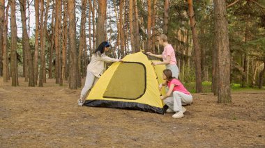 Küçük bir arkadaş grubu ormanda çadır kurup kamp maceraları için mükemmel bir zemin hazırlıyorlar..
