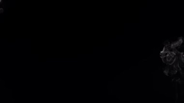 Arka planda dumanlı dumanlar. Sinema sahneleri, VFX geçişleri, müzik videoları, korku veya bilim kurgu filmleri, soyut reklamlar veya dijital sanat ve hareket grafiklerinde üst üste bindirme