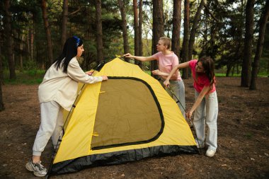 Küçük bir arkadaş grubu ormanda çadır kurup kamp maceraları için mükemmel bir zemin hazırlıyorlar..