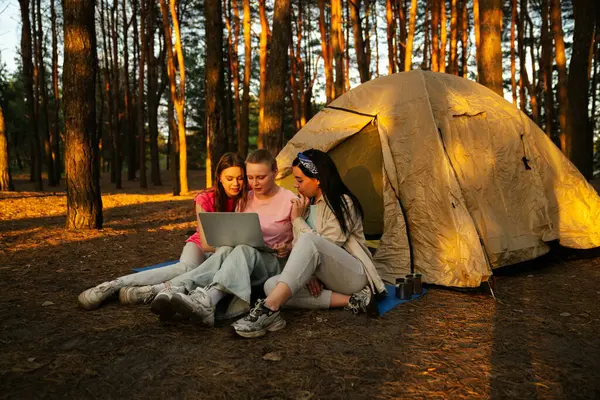 Üç arkadaş ormanda bir çadırın yanında oturmuş, bir dizüstü bilgisayarın üzerinde yürüyüş ve görüntülü sohbetin tadını çıkarıyorlar..