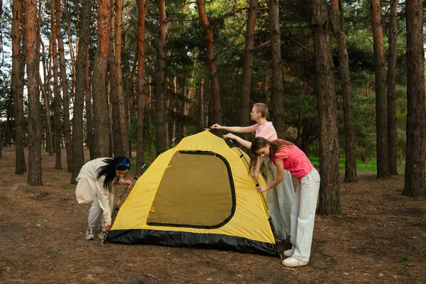 Küçük bir arkadaş grubu ormanda çadır kurup kamp maceraları için mükemmel bir zemin hazırlıyorlar..
