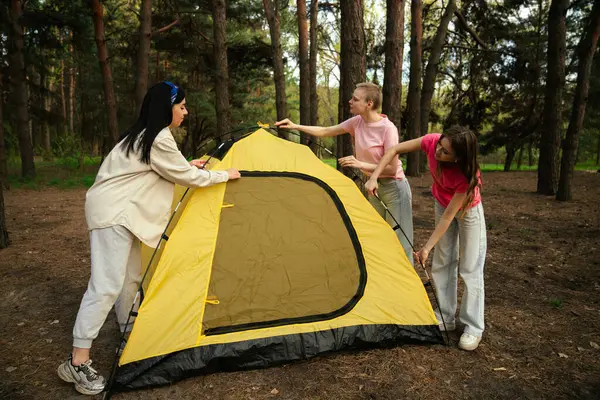 Küçük bir arkadaş grubu ormanda çadır kurup kamp maceraları için mükemmel bir zemin hazırlıyorlar..