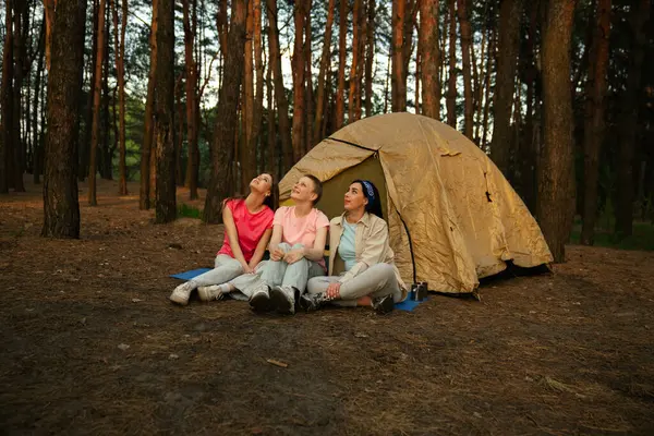 Sakin bir ormanda çadırın yanında oturan bir grup arkadaş rahatlama ve doğanın tadını çıkarıyorlar..