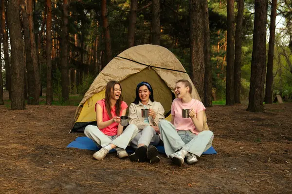 Üç arkadaş ormanda bir çadırda oturup, bir kamp gezisi sırasında içkinin ve arkadaşlığın tadını çıkarıyorlar..