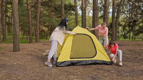 Küçük bir arkadaş grubu ormanda çadır kurup kamp maceraları için mükemmel bir zemin hazırlıyorlar..