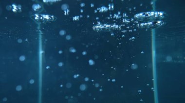 dinamik bir sualtı sahnesi kabarcıkların hareketlerini gösteriyor berrak, mavi bir suda.