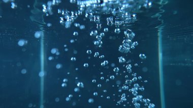 dinamik bir sualtı sahnesi kabarcıkların hareketlerini gösteriyor berrak, mavi bir suda.