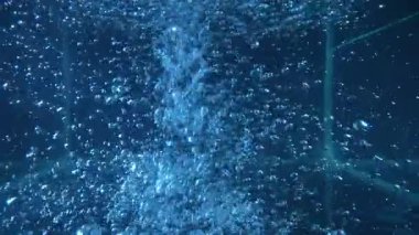 Açık sularda kabarcıklar yükselen mavi sualtı sahnesi büyüleyici ve sakin bir atmosfer yaratıyor..