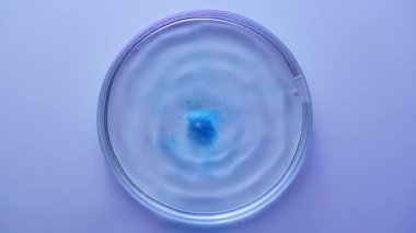 Petri kabının üst görüntüsü, damlayan bir damla mavi reaktör ve yumuşak dairesel dalgalar oluşturarak, berrak sularda yavaşça yayılıyor. Hafif bir arkaplanda minimalist bilimsel kompozisyon.
