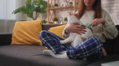 Bir kadın evcil kedisini tımar ediyor, kürkünü özel bir fırçayla tarıyor. Sahne, iç mekan bitkileri ve parlak dekorlarla dolu rahat bir oturma odasında geçiyor..