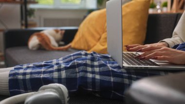 Ekose pijamayla kanepede oturan bir kadının dizüstü bilgisayarda daktilo yazışına yakın çekim. Arka planda, kızıl ve beyaz bir kedi huzur içinde uzanır ve sıcak ev ortamını ısıtır..