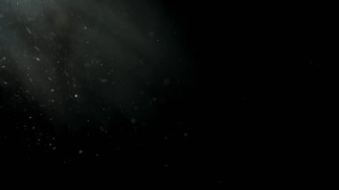 Yumuşak beyaz toz parçacıkları karanlık bir boşlukta asılı, ışıkla aydınlatılıyor. Soyut arka planlar için mükemmel ruhani ve rüya gibi bir atmosfer..