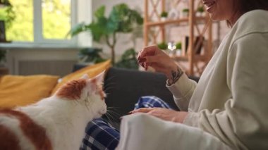 Kanepede bacak bacak üstüne atmış genç bir kadın turuncu ve beyaz kedisine kıyak yapıyor. Sahne sakin, rahat ve doğal ışık ve yeşillikle dolu..