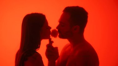 Bir çift siluet samimi bir anı paylaşır, sıcak, kırmızı bir arka planda bir çiçeğin arkasında nazikçe öpüşürler..