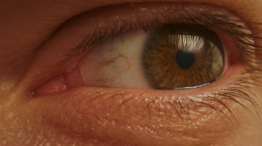 İnsan kahverengi gözünün uç makro görüntüsü göz dokusunu, kirpiklerini ve göz yüzeyini detaylı olarak gösteriyor. Gözbebeklerine ve göz bebeklerindeki radyal desenlere odaklanın..