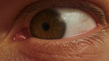 İnsan gözünün makro görüntüsü sklerada ince kan damarları, detaylı göz ve kirpikleri gösteriyor. Göz farklı yönlere bakıyor. Yüksek çözünürlüklü biyolojik doku, tıbbi veya sanatsal kullanım için ideal.