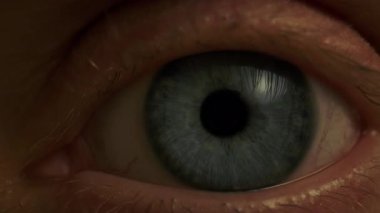 Mavi iris ve açık renkli kirpiklerle kadın gözünü açıp kapayarak. Mavi göz irisi ve göz bebeği genişliyor ve daralıyor. Göz küresi, retina, göz kapağı.