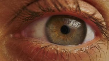 İnsan gözünün makro görüntüsü sklerada ince kan damarları, detaylı göz ve kirpikleri gösteriyor. Yüksek çözünürlüklü biyolojik doku, tıbbi veya sanatsal kullanım için ideal.