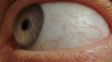 Mavi iris ve kırmızı kılcal damarlarla kadın gözünü açıp kapayarak. Gri iris göz etrafına bakıyor. Göz küresi, retina, göz kapağı.