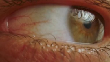 İnsan gözünün makro görüntüsü sklerada ince kan damarları, detaylı göz ve kirpikleri gösteriyor. Yüksek çözünürlüklü biyolojik doku, tıbbi veya sanatsal kullanım için ideal.