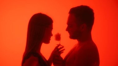 Siluetli bir çift dramatik kırmızı ışıkta bir çiçekle samimi bir anı paylaşır, tutkuyu ve bağlantıyı sembolize eder.