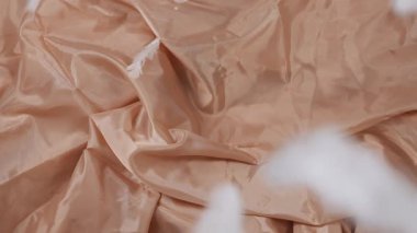 Beyaz kuş tüylerinin üst görüntüsü bej kumaşın pürüzsüz yüzeyine düşerek yumuşak ve zarif bir estetik oluşturur..